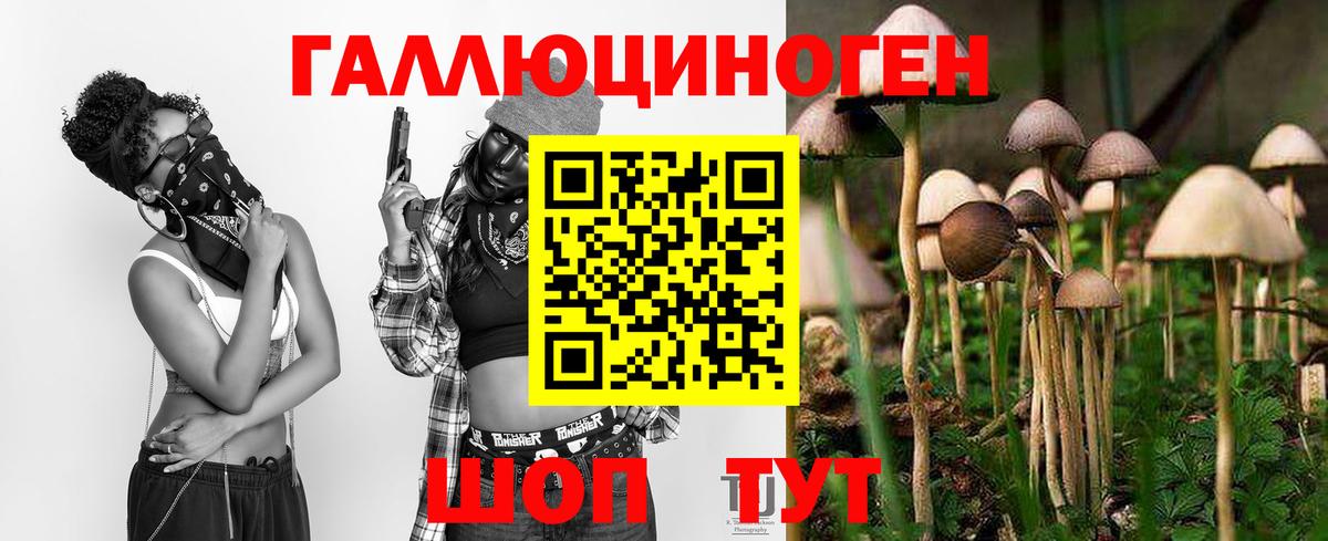 Нижнеудинск  Псилоцибиновые грибы Cubensis  Псилоцибиновые грибы GOLDEN TEACHER  Вход с VPN 